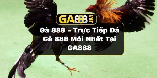 Gà 888