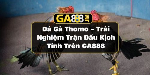 Đá gà Thomo