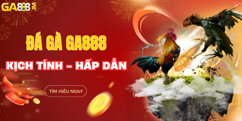 Trải nghiệm các kèo cược tại đá gà GA888